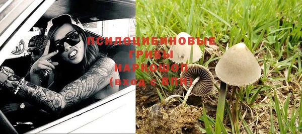 синтетический гашиш Алексеевка