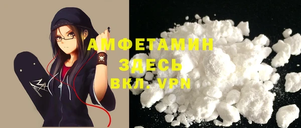 мет Алексин
