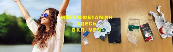 мет Алексин