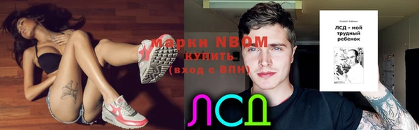 мет Алексин