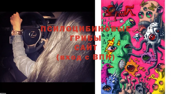 синтетический гашиш Алексеевка