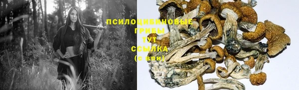 синтетический гашиш Алексеевка