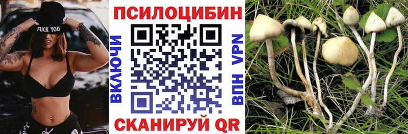 Галлюциногенные грибы MAGIC MUSHROOMS цены наркотик MEGA онион Тында